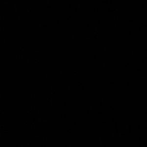 Meet your Posher, Sandy